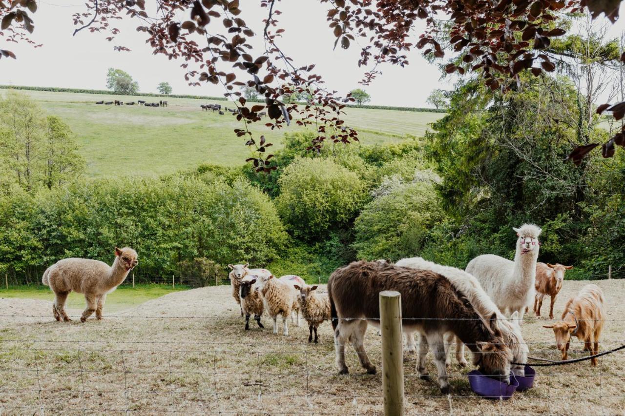 Smeaton Farm Luxury B&B St Mellion Exterior foto